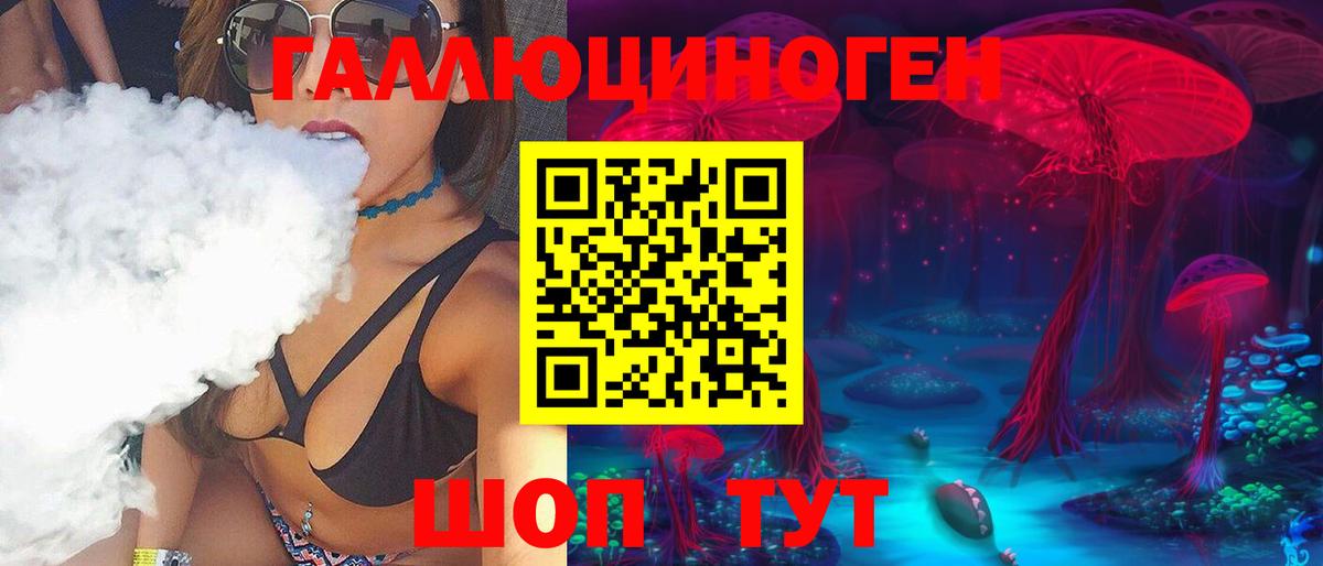 магазин    Вход с VPN  Апатиты  Псилоцибиновые грибы Psilocybine cubensis  Псилоцибиновые грибы прущие грибы 